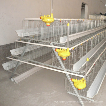 Cage à poulet à 4 niveaux